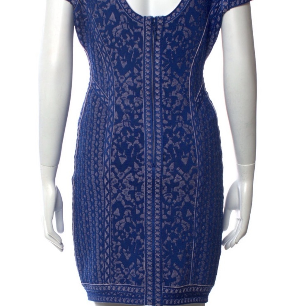 Herve Leger Blue and White Mini Dress - Picture 4 of 6